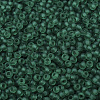 MIYUKI Round Rocailles Beads SEED-G007-RR0147F-3