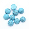 Synthetic Turquoise Cabochons X-G-P393-R13-6mm-1