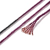 10 Skeins 6-Ply Polyester Embroidery Floss OCOR-K006-A04-3