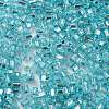 Glass Seed Beads SEED-M011-01B-06-3