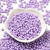 Baking Paint Luster Glass Seed Beads SEED-B001-04A-09-2