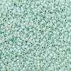 TOHO Round Seed Beads SEED-TR11-PF2118-2