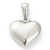 304 Stainless Steel Pendants STAS-P278-01Z-P-2
