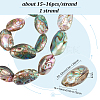 1 Strand Natural Abalone Shell/Paua Shell Beads Strands BSHE-BC0001-16-2