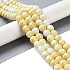 Baking Paint Glass Bead Strands GLAA-H031-01C-03-2