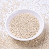 MIYUKI Delica Beads SEED-MY11-DB1874-2
