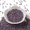 Baking Paint Glass Seed Beads X-SEED-S042-15A-14-2