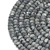 Natural Larvikite Beads Strands G-P575-A38-6x4mm-3