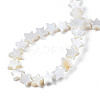 Natural Freshwater Shell Beads Strands SHEL-S278-01A-01-4