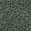 MIYUKI Round Rocailles Beads X-SEED-G007-RR0501-3