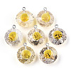 Transparent Epoxy Resin Pendants LS-CRES-N025-11C-1