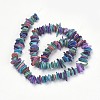 Natural Shell Beads Strands X-PBB226Y-4-2