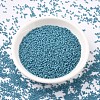 MIYUKI Delica Beads SEED-J020-DB0798-2
