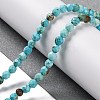 Natural Howlite Beads Strands G-C025-02C-06-2