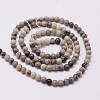 Natural Polychrome Jasper/Picasso Stone/Picasso Jasper Beads Strands G-N0191-01-2mm-2