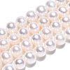 Natural Cultured Freshwater Pearl Beads Strands PEAR-N016-05A-1