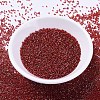 MIYUKI Delica Beads SEED-MY11-DB0295-2