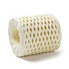 Raffia Ribbon SENE-PW0003-104K-2