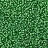 MIYUKI Round Rocailles Beads X-SEED-G009-RR3763-3