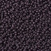 MIYUKI Round Rocailles Beads SEED-G007-RR0497-3