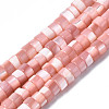 Natural Trochus Shell Beads Strands SHEL-S278-027H-1