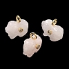 Natural Rose Quartz Carved Pendants GG-CBA105B-03J-G-1