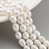 Natural Cultured Freshwater Pearl Beads Strands PEAR-P062-08G-1