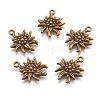 Tibetan Style Alloy Pendants LS-TIBEP-A113357-AB-FF-1