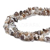 Natural Botswana Agate Beads Strands G-P497-03A-01-3