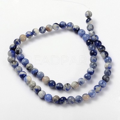 Natural Sodalite Beads Strand GSR10mmC013-1