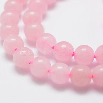 Natural Rose Quartz Bead Strands G-G664-01-1