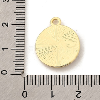 Alloy Enamel Pendants FIND-U030-20G-01-1