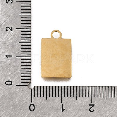 304 Stainless Steel Pendants STAS-F318-09A-G-1