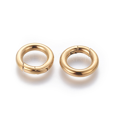 304 Stainless Steel Spring Gate Rings STAS-D070-01G-1-1