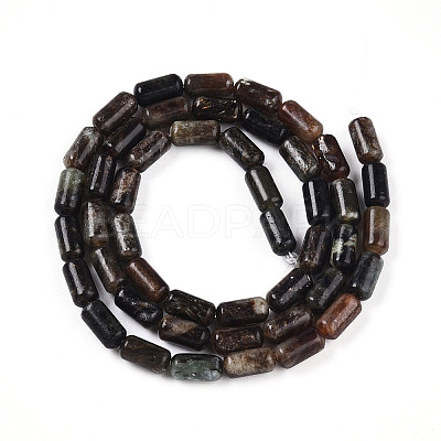 Natural Biotite Beads Strands G-N346-01A-02-1