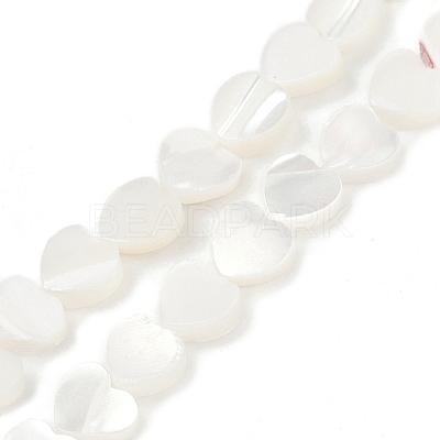Natural Trochid Shell/Trochus Shell Beads Strands SSHEL-K012-04A-1