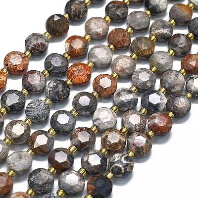 Natural Fossil Coral Beads Strands G-C116-A132-01-1