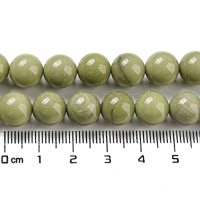 Natural Alashan Agate Beads Strands G-E598-03B-1