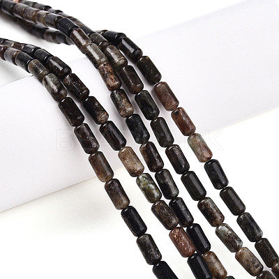 Natural Biotite Beads Strands G-N346-01A-02-1