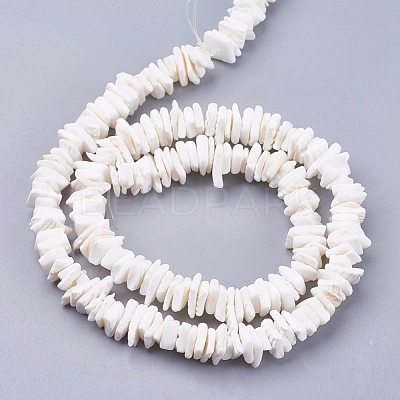Natural Sea Shell Beads Strands X-BSHE-K012-08E-1