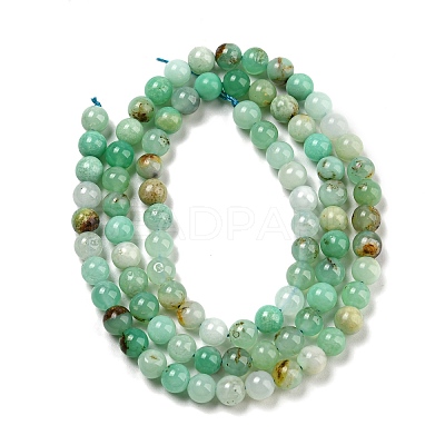 Natural Chrysoprase Beads Strands G-P503-4MM-03-1