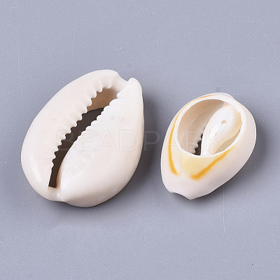 Natural Cowrie Shell Beads SSHEL-N034-34-1