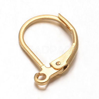 Ion Plating(IP) 304 Stainless Steel Leverback Earring Findings STAS-G130-19G-1