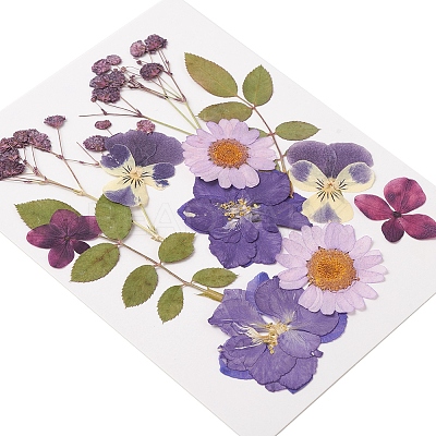 Pressed Dried Flowers DIY-YWC0001-102-1