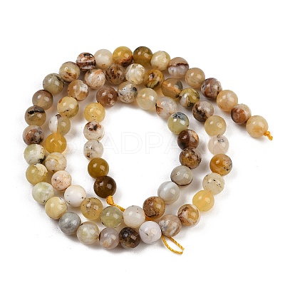 Natural Yellow Opal Beads Strands G-G992-A02-B-1