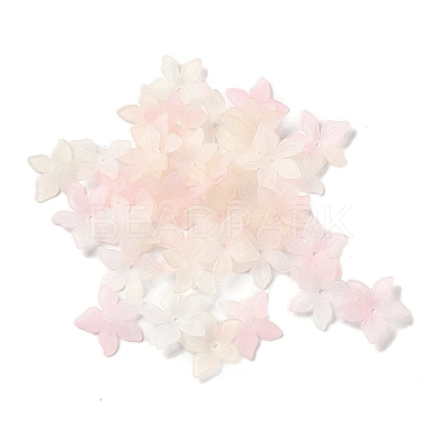 Transparent Acrylic Beads Caps OACR-B022-02B-1