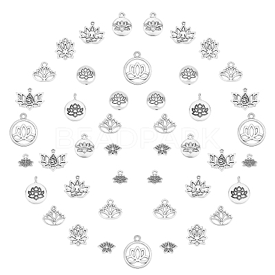 Tibetan Style Alloy Pendants & Links Connectors & Beads TIBEP-SC0001-53AS-1