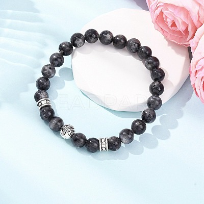 Natural Labradorite Round Beaded Stretch Bracelets for Women BJEW-JB12569-02-1