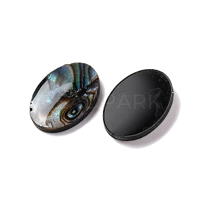 Natural Paua Shell Epoxy Resin Cabochons LS-SSHEL-S279-01B-1