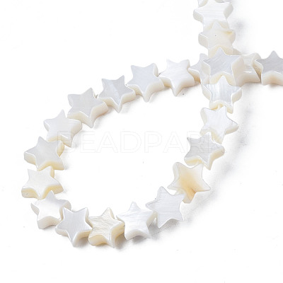Natural Freshwater Shell Beads Strands SHEL-S278-01A-01-1